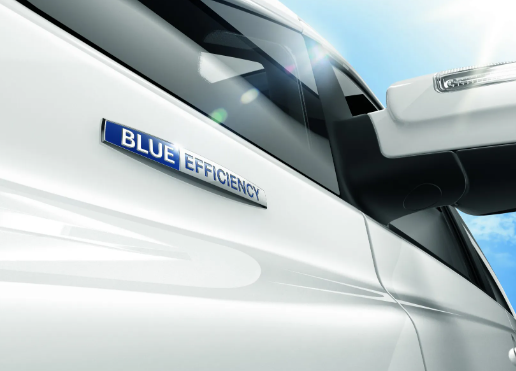 Emblema Blue Efficiency