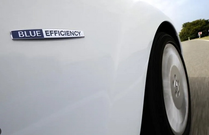 Emblema Blue Efficiency