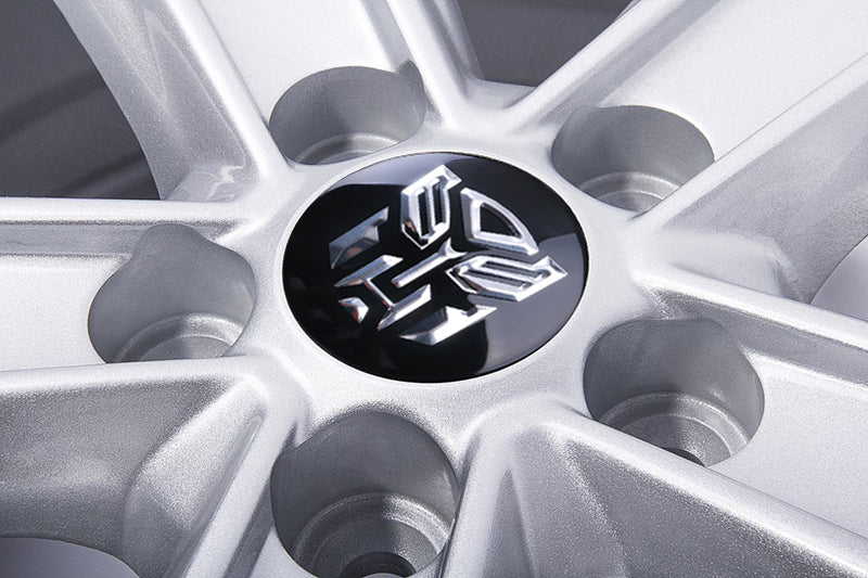 Tapa de Aro (4 piezas)