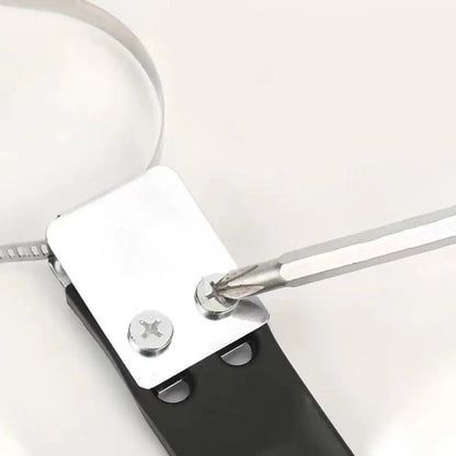 Correa Electrostática